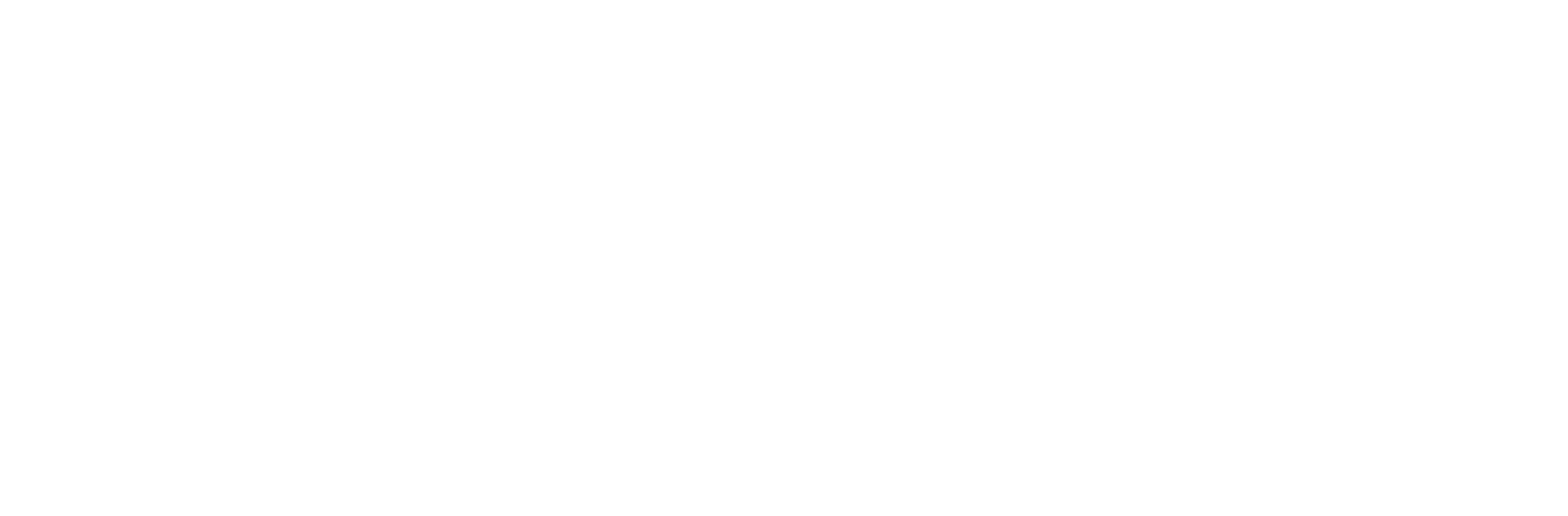 logo villa shalom