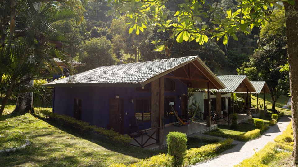 Cabaña de Villa Shalom rodeada de vegetación en Santa Rosa de Copán, Honduras, con un área de descanso y hamacas al exterior.